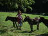 035-db_DSC019701
