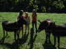 037-db_DSC019721