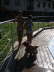 042-db_DSC019773