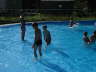 043-db_DSC019781