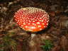 069-db_DSC020143
